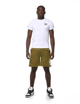 Complete herenset met leone summer style t-shirt en short