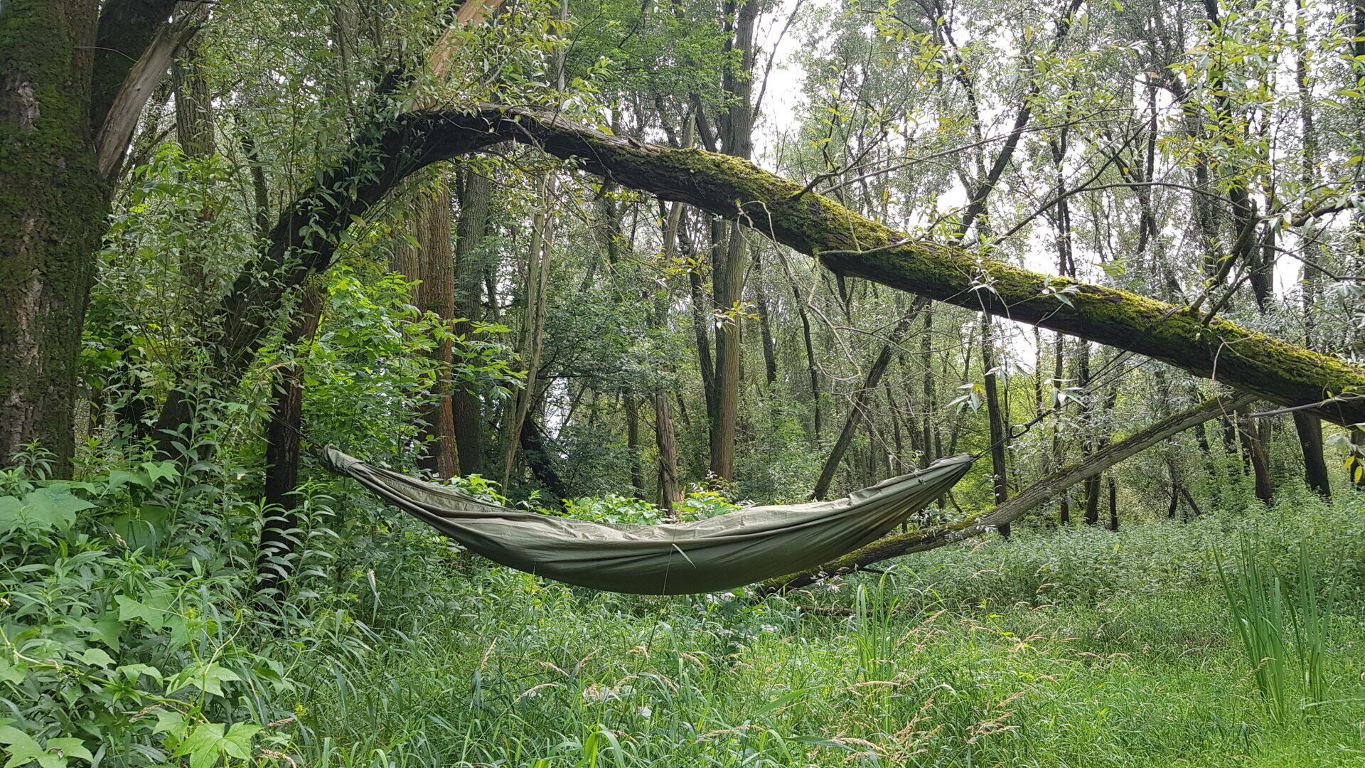 Bushmen Hammock Green with carabiners 6/6
