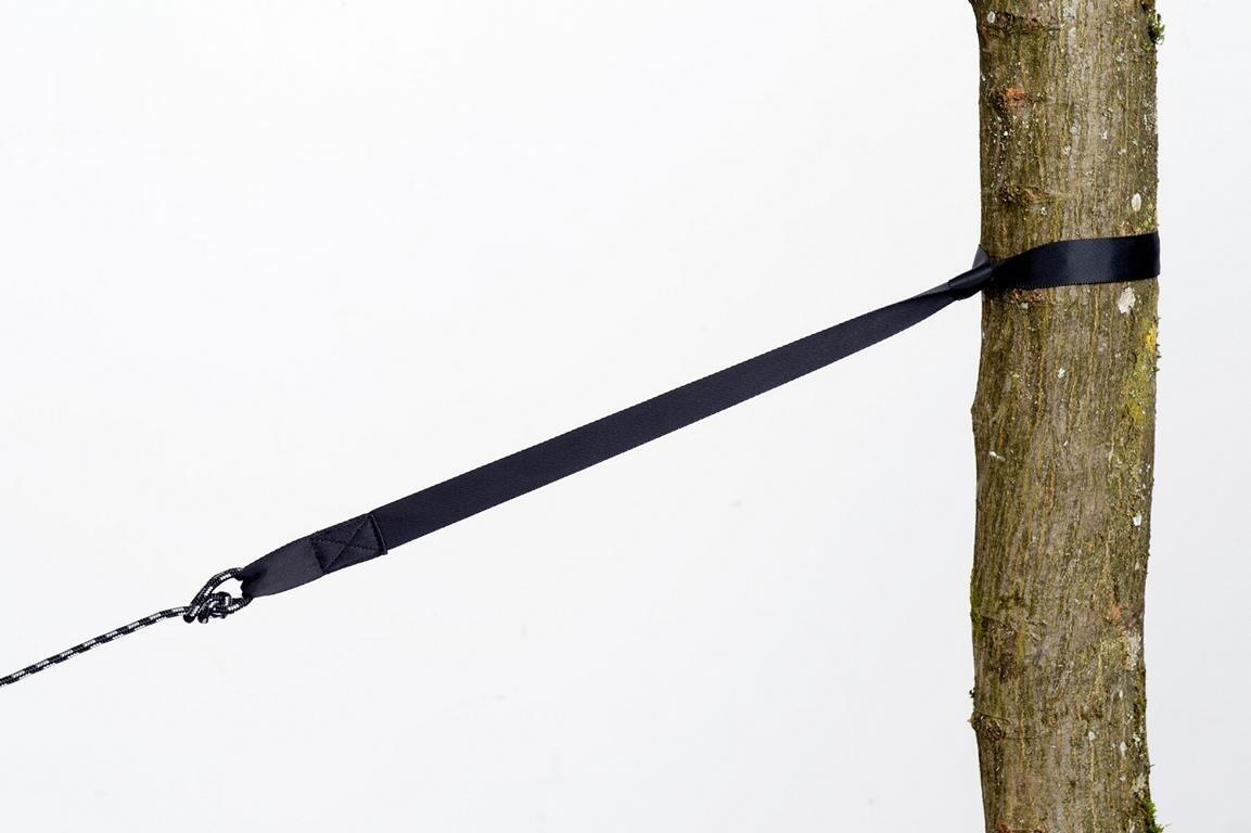 Amazonas Le chasseur d'arbres 4/6