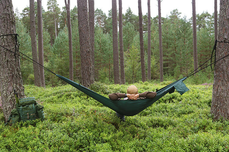 DD Hammocks Hamac de camping 6/6