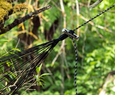 Amazonas Corde de suspension du hamac : Microrope 4/6