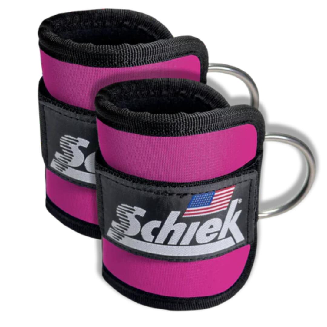 SCHIEK SPORT'S INC. USA picture