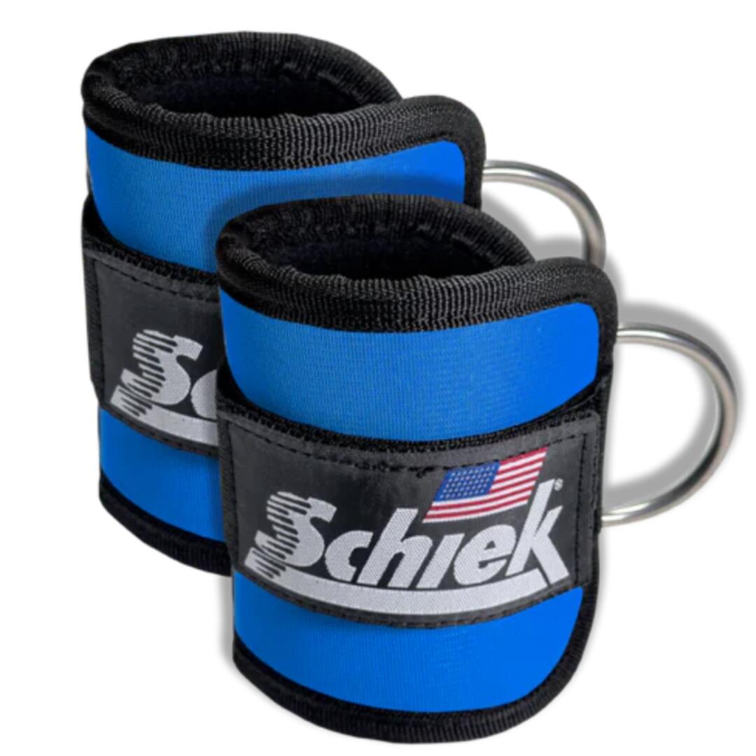 SCHIEK SPORT'S INC. USA picture