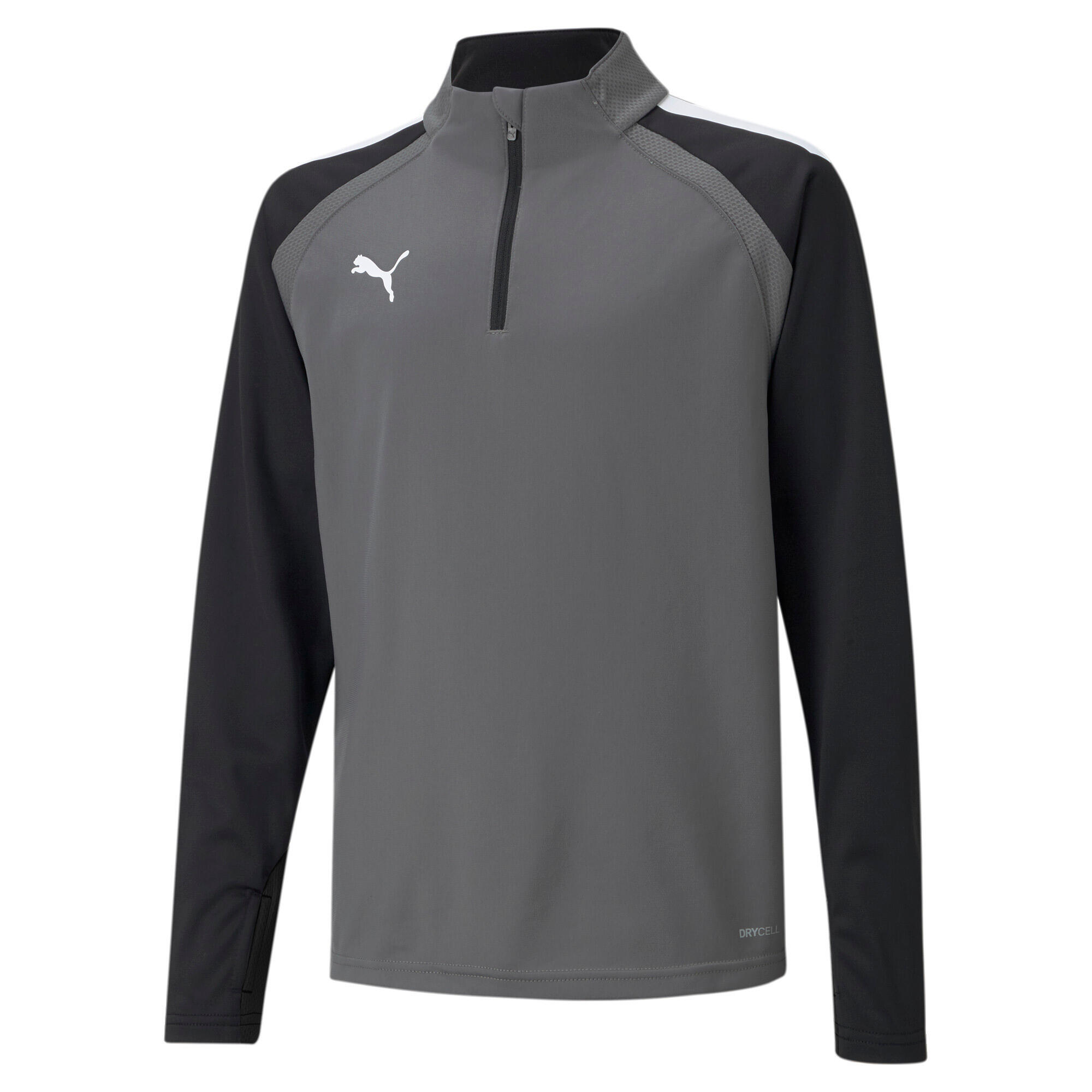 PUMA picture