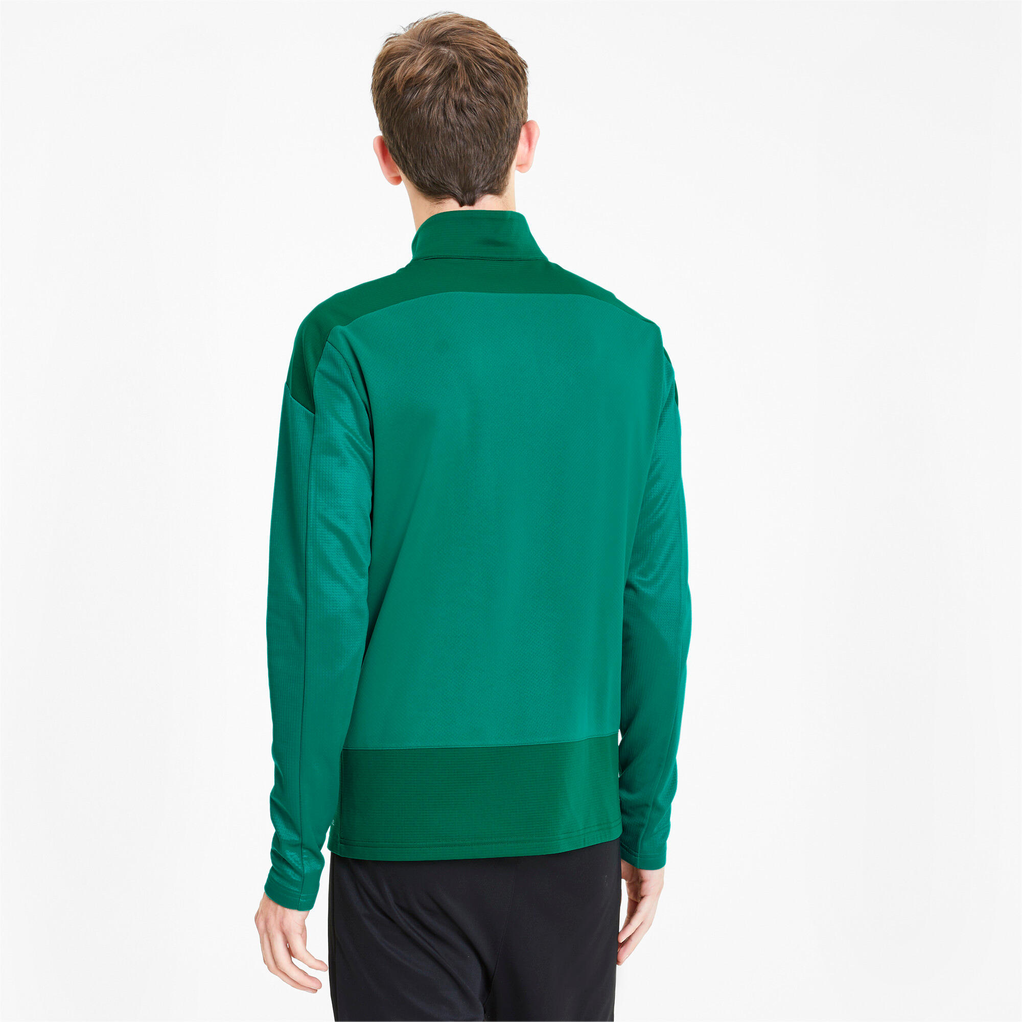 Jasje Puma Teamgoal 23 Training 14 Zip Top, Groen, Mannen 4/7