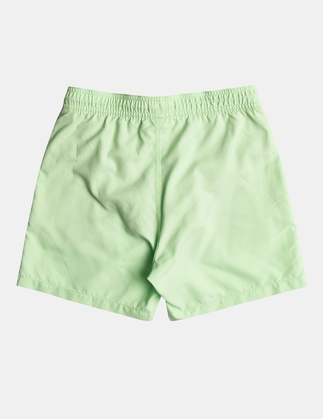 Bañador Hombre Billabong All day layback Verde 7/7