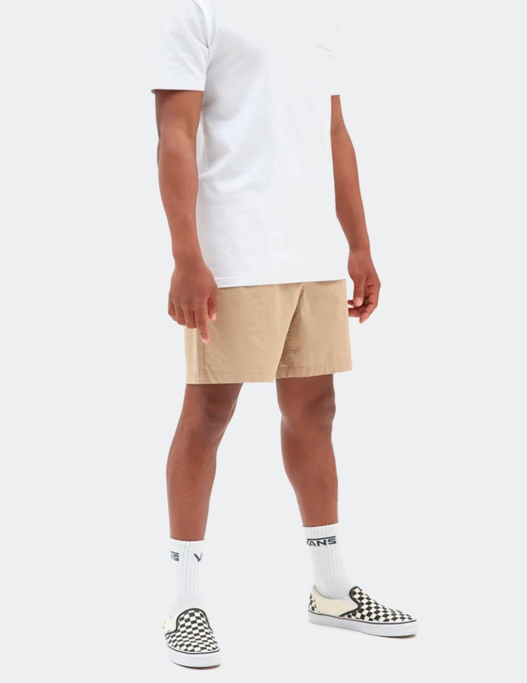 VANS picture