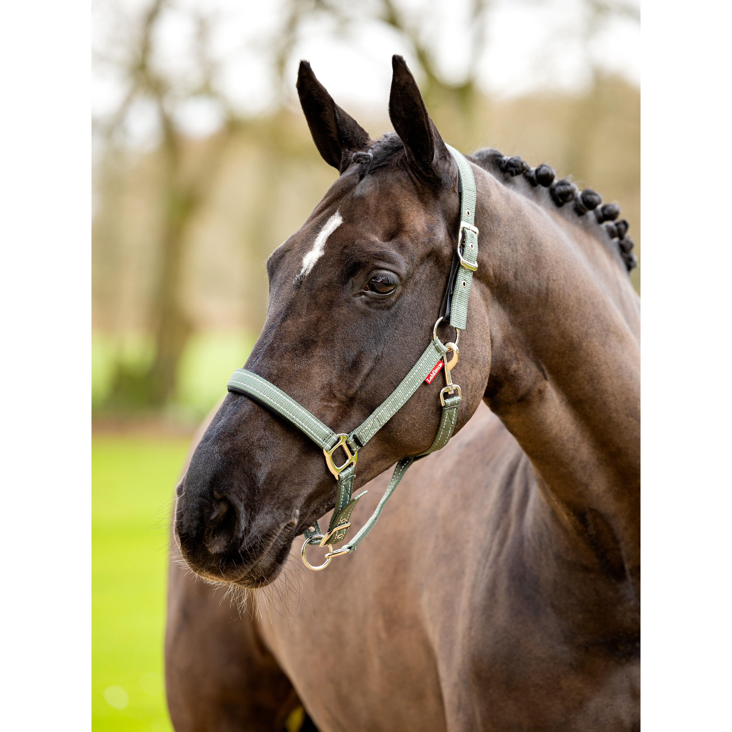 Leren halster voor paarden LeMieux Essential Yard 2/7