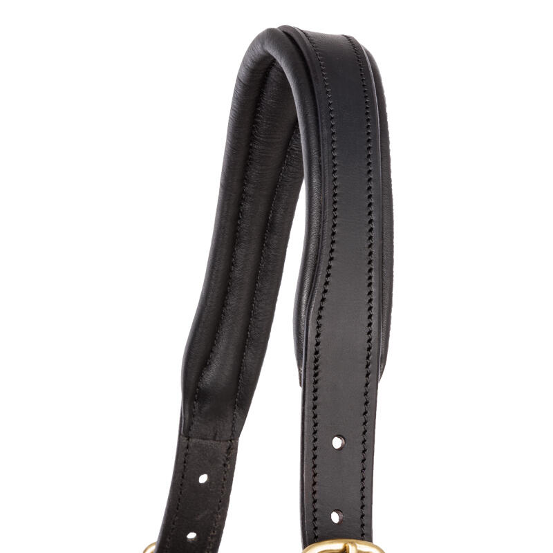 Cabezada para caballo Kavalkade Cinta 5/5