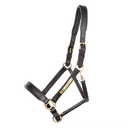 Licol en cuir pour cheval Kavalkade Cinta