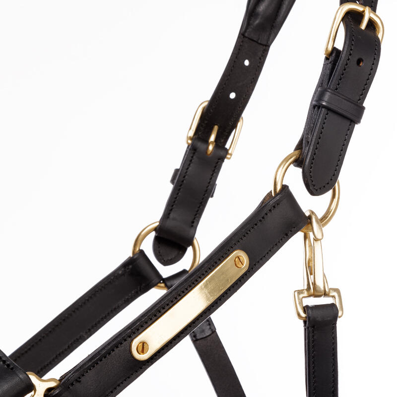 Halter for horses Kavalkade Cinta