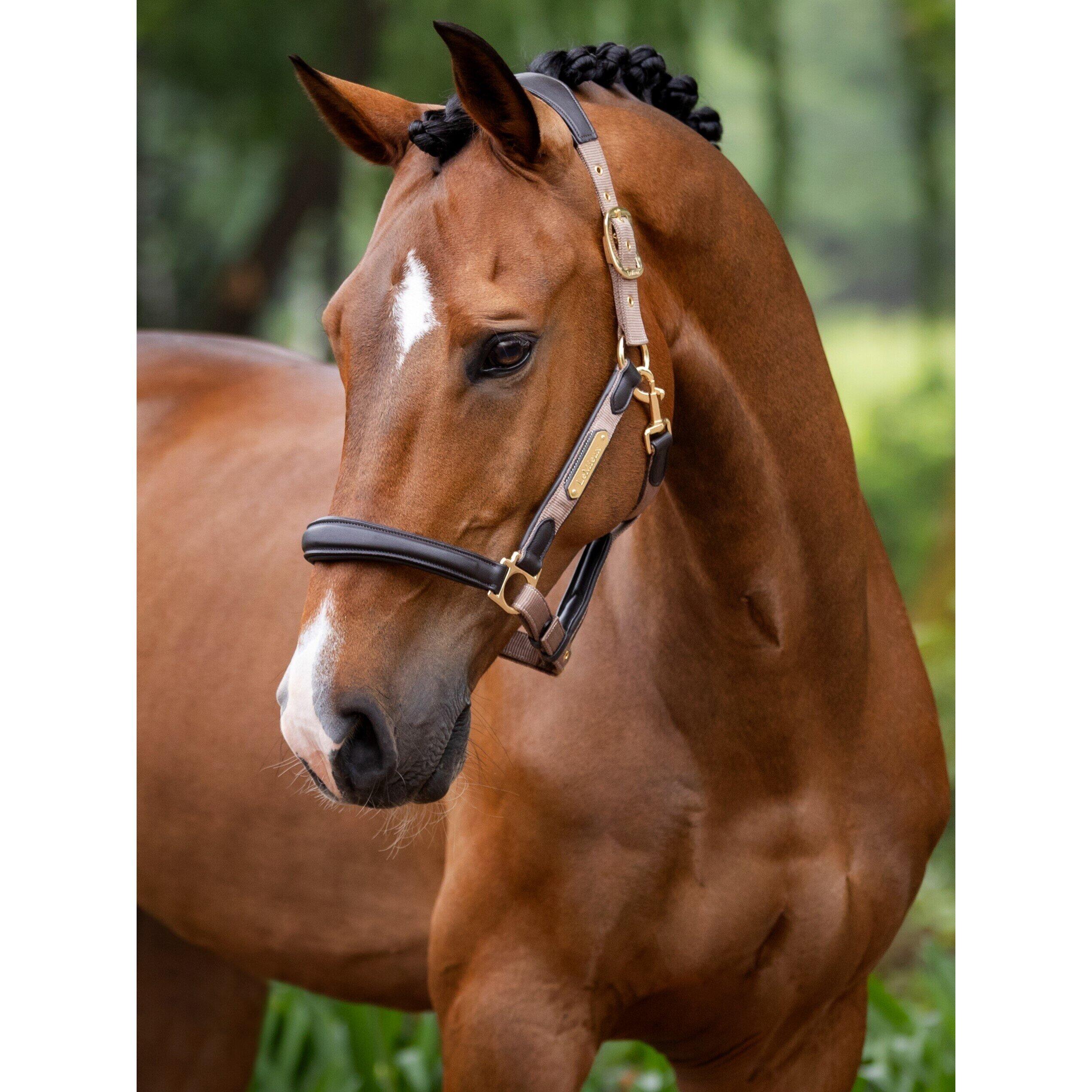 Leren halster voor paarden LeMieux Capella 2/7