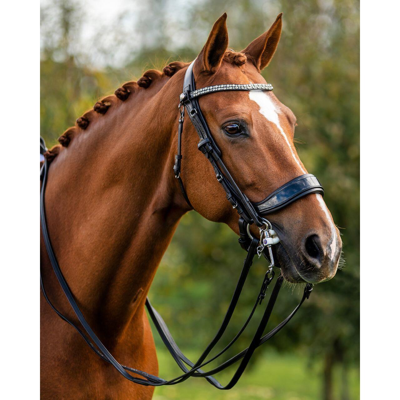 Presteq FayRein Weymouth horse reins