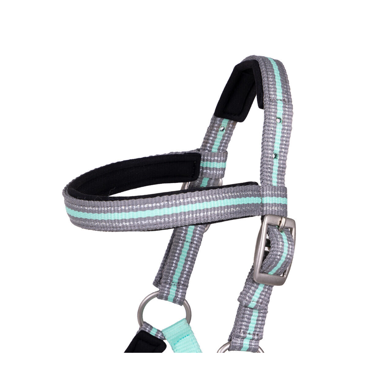 Fohlenhalfter mit Stirnband QHP 2/4