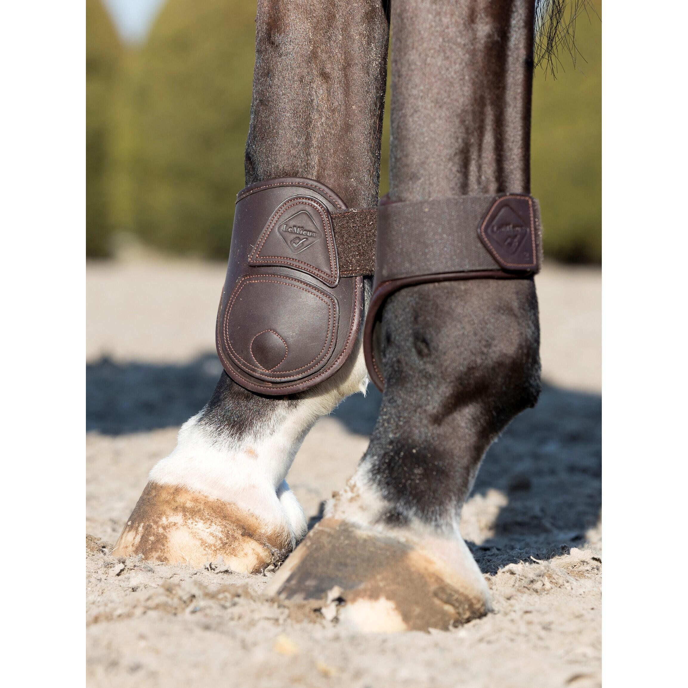 Pijpbeschermers voor paarden LeMieux Capella 2/3