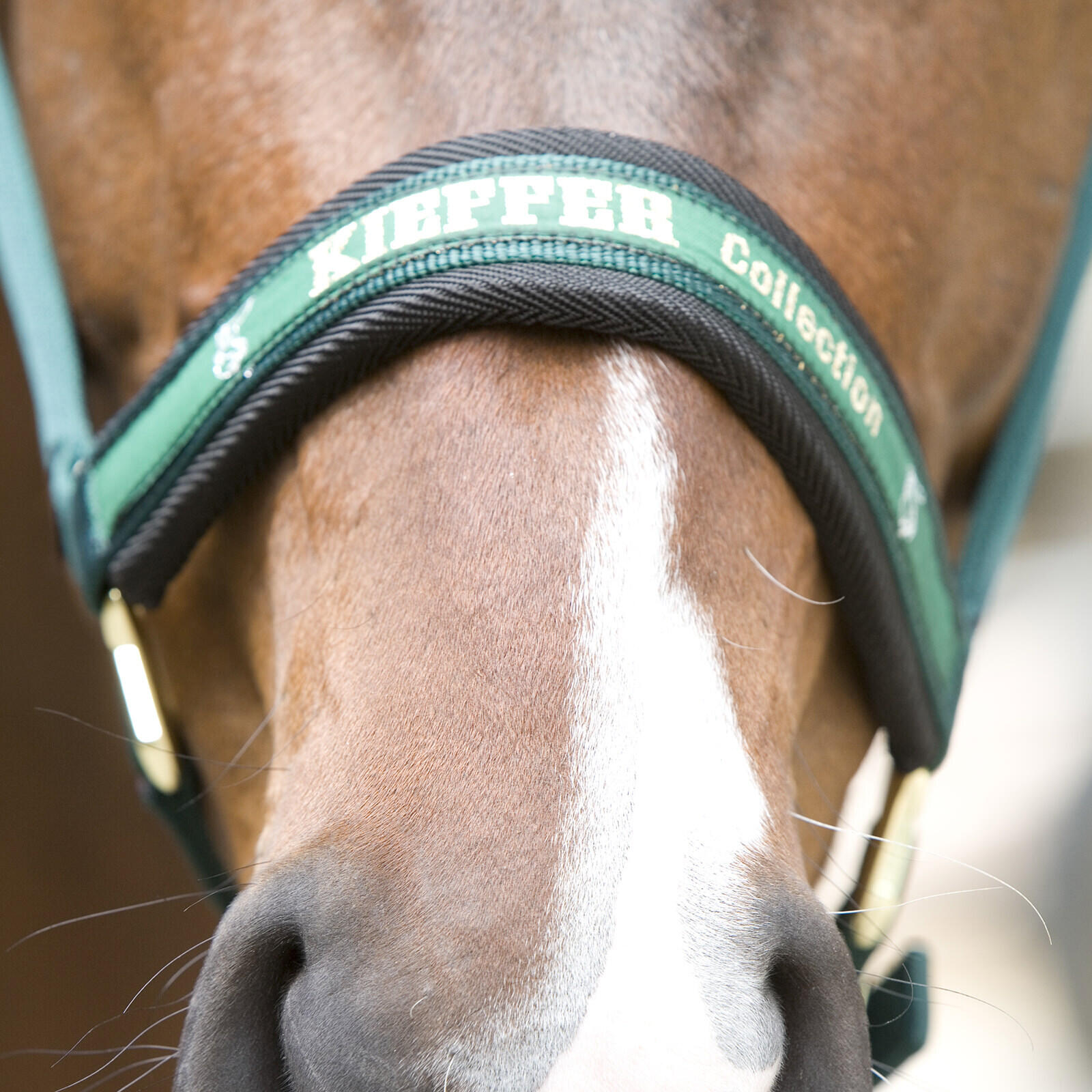 Licol pour cheval en nylon Kieffer Collection 2/2