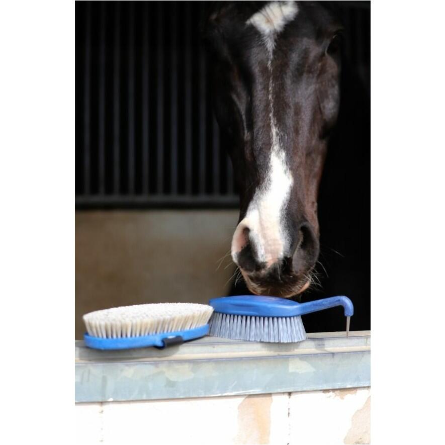 Brosse d'équitation Haas Duo Azzuro 4/5