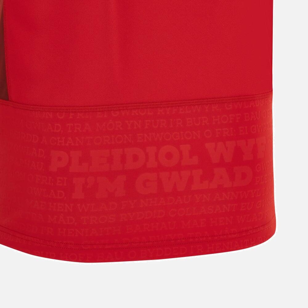 WRU RWC 2023 Adults Srugby Shirt 4/4