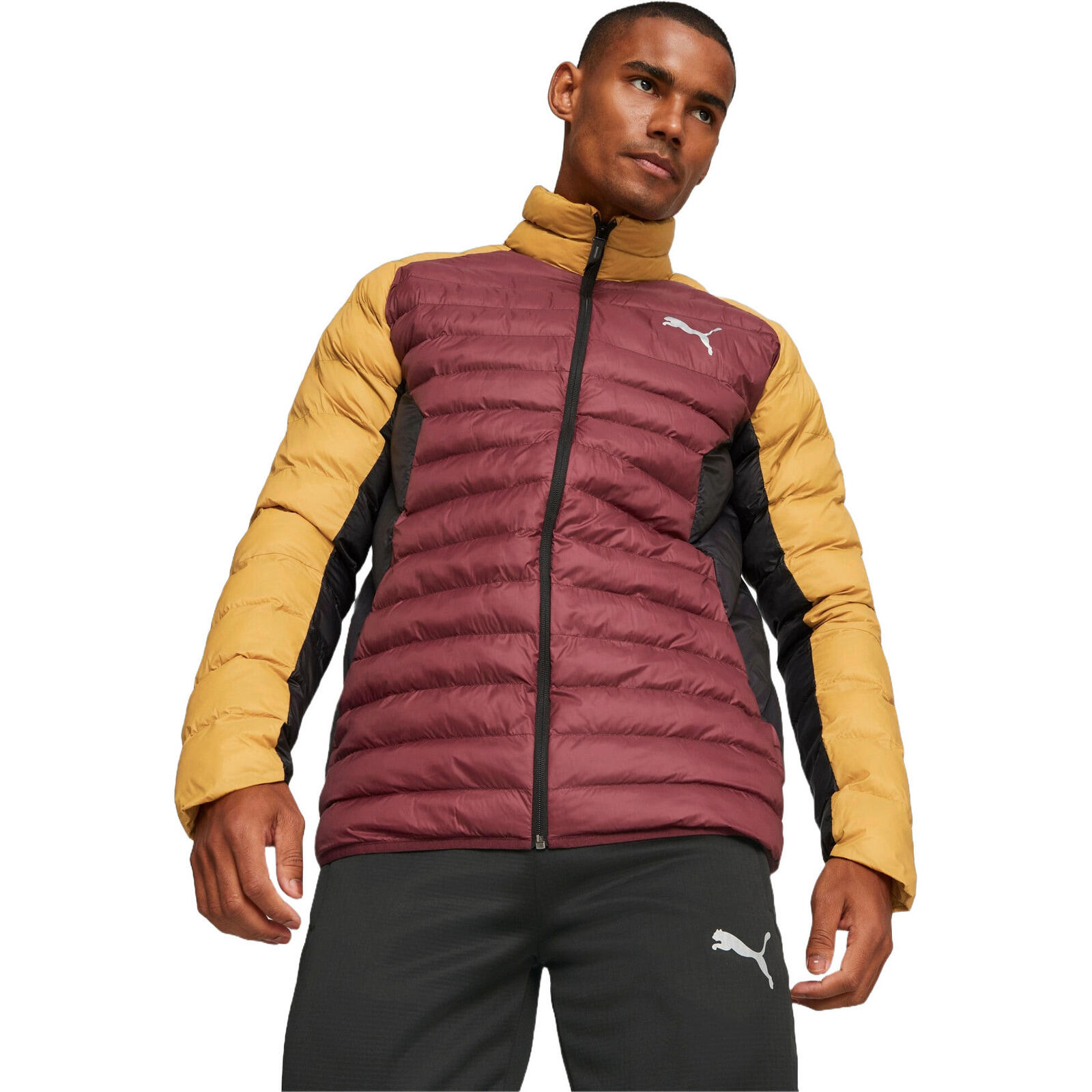 PUMA picture