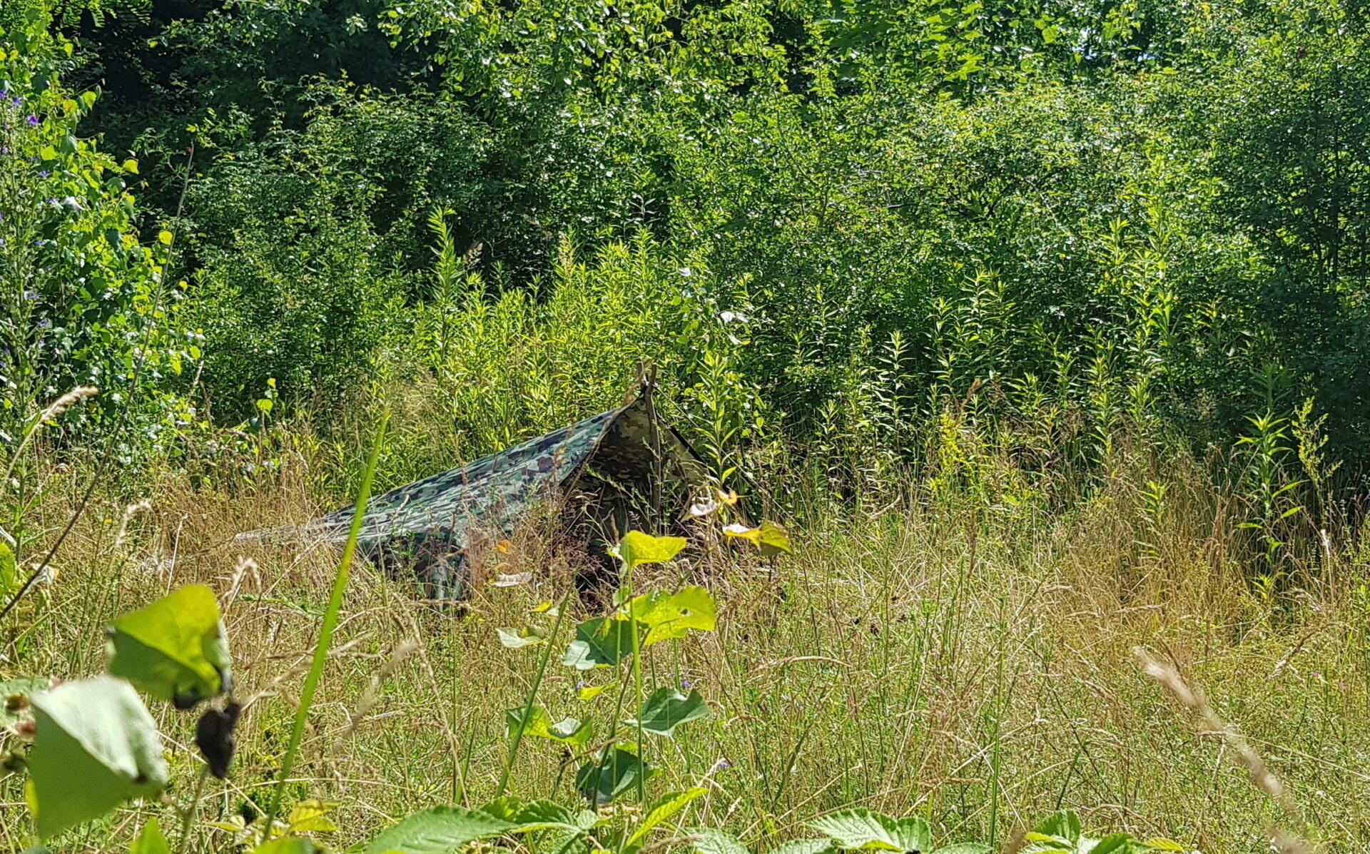 Bushmen Thermo Tarp 3x2 - Camouflage 5/6