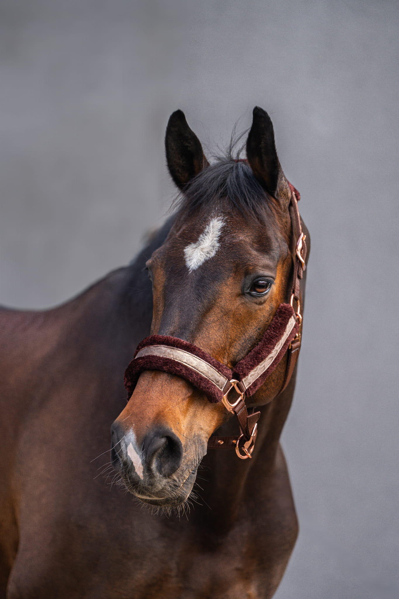 Paardenhalster met bont JD ATTACK Snaky 3/3