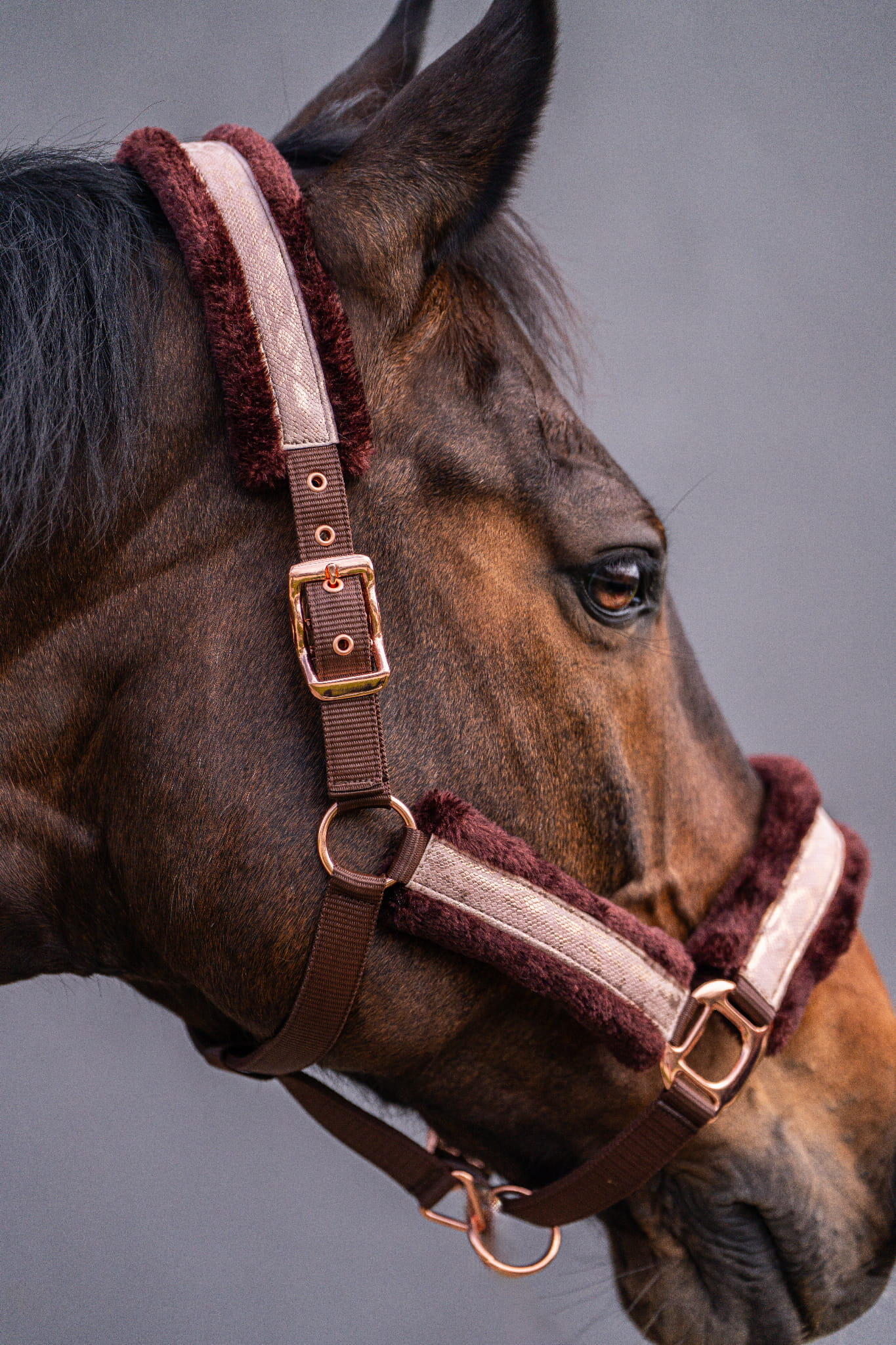 Paardenhalster met bont JD ATTACK Snaky 2/3