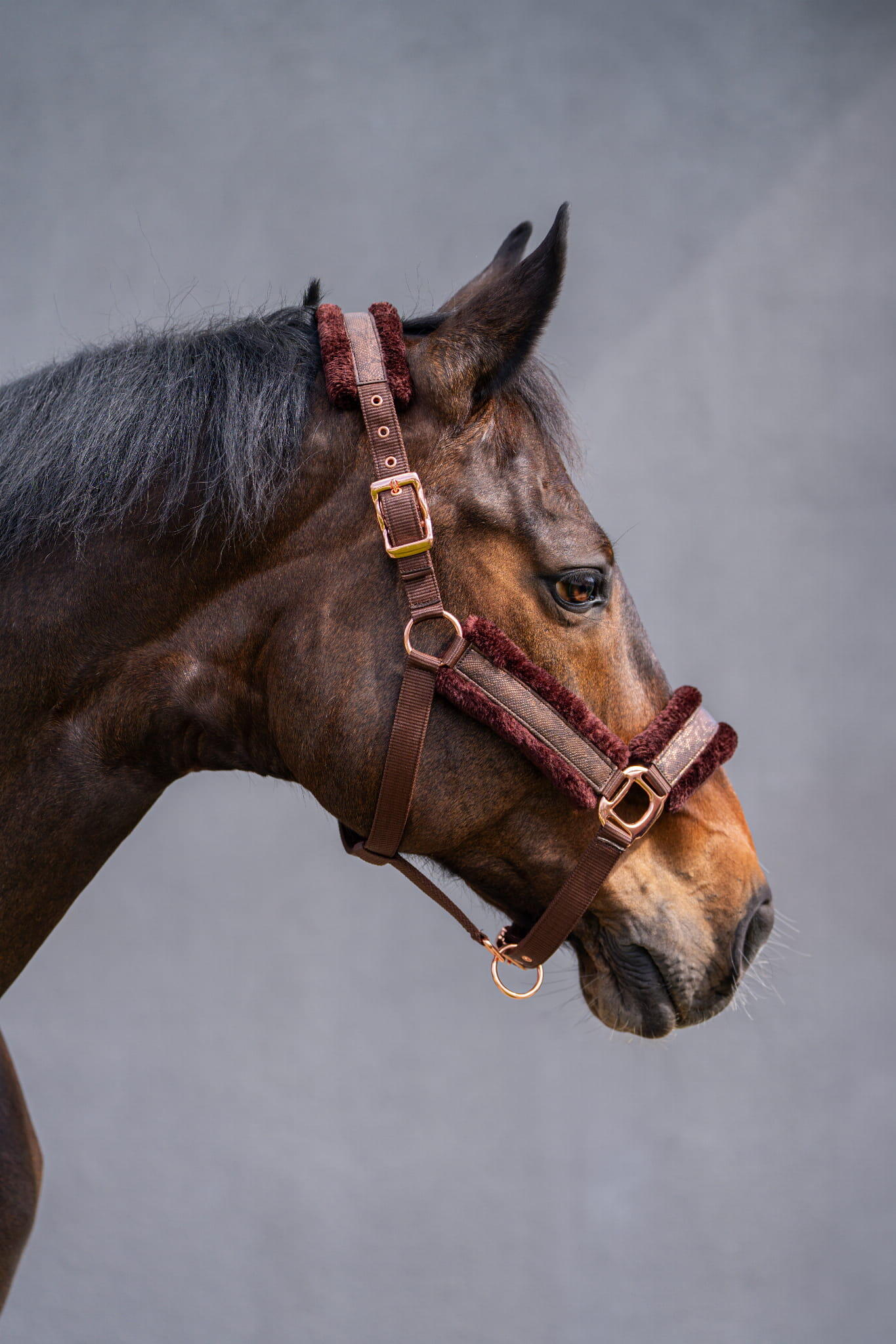 Paardenhalster met bont JD ATTACK Snaky 2/2