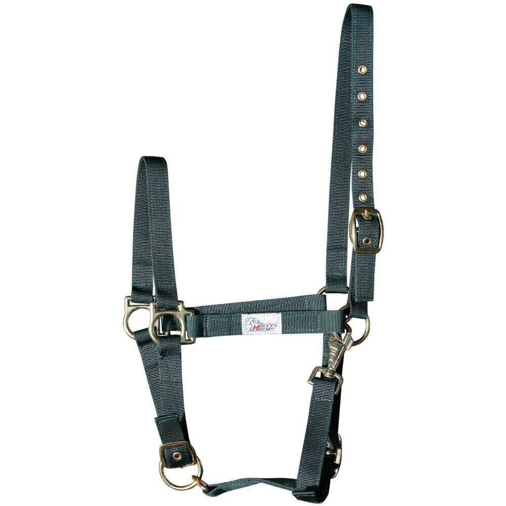 HARRYS HORSE picture