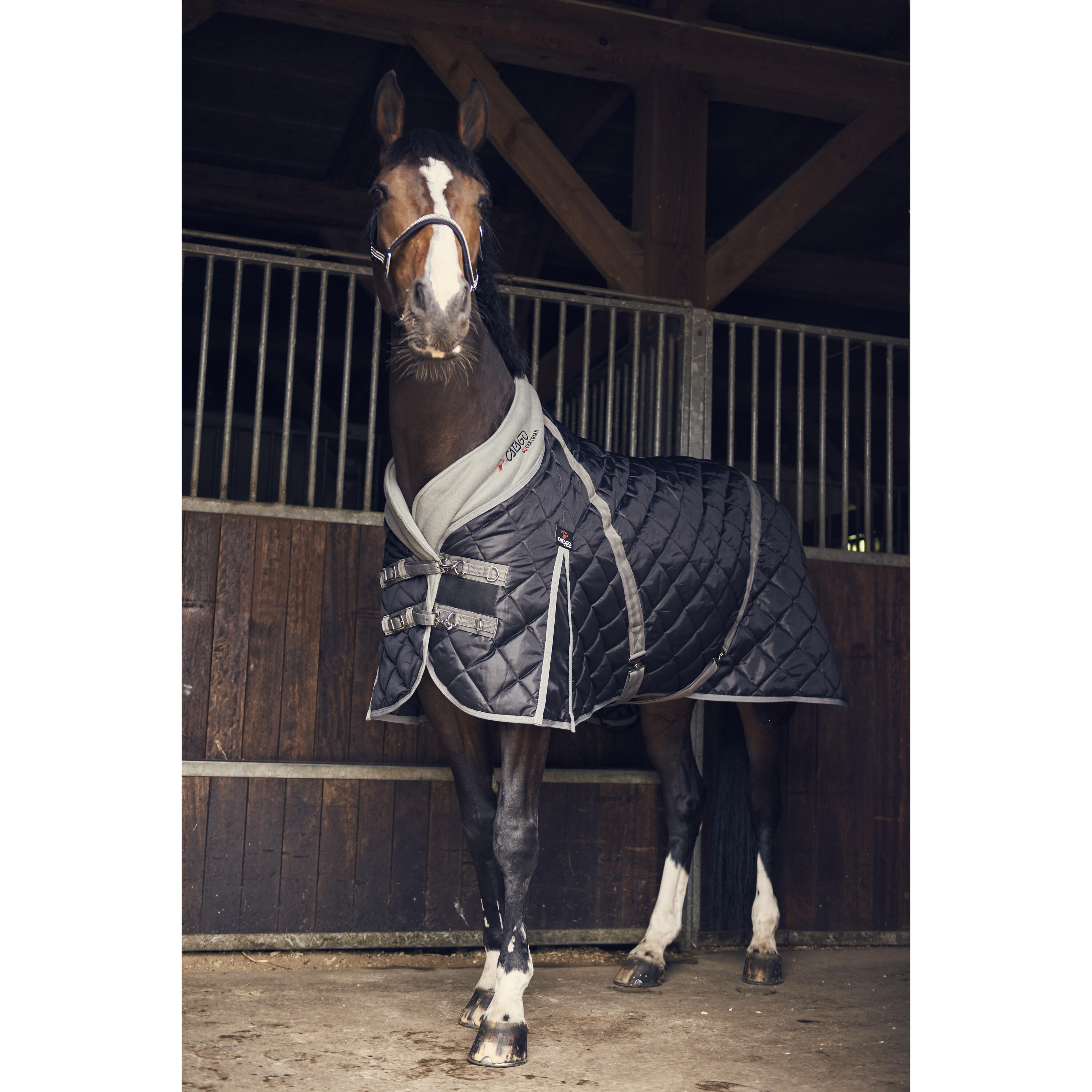 Catago horse stable blanket 100 g