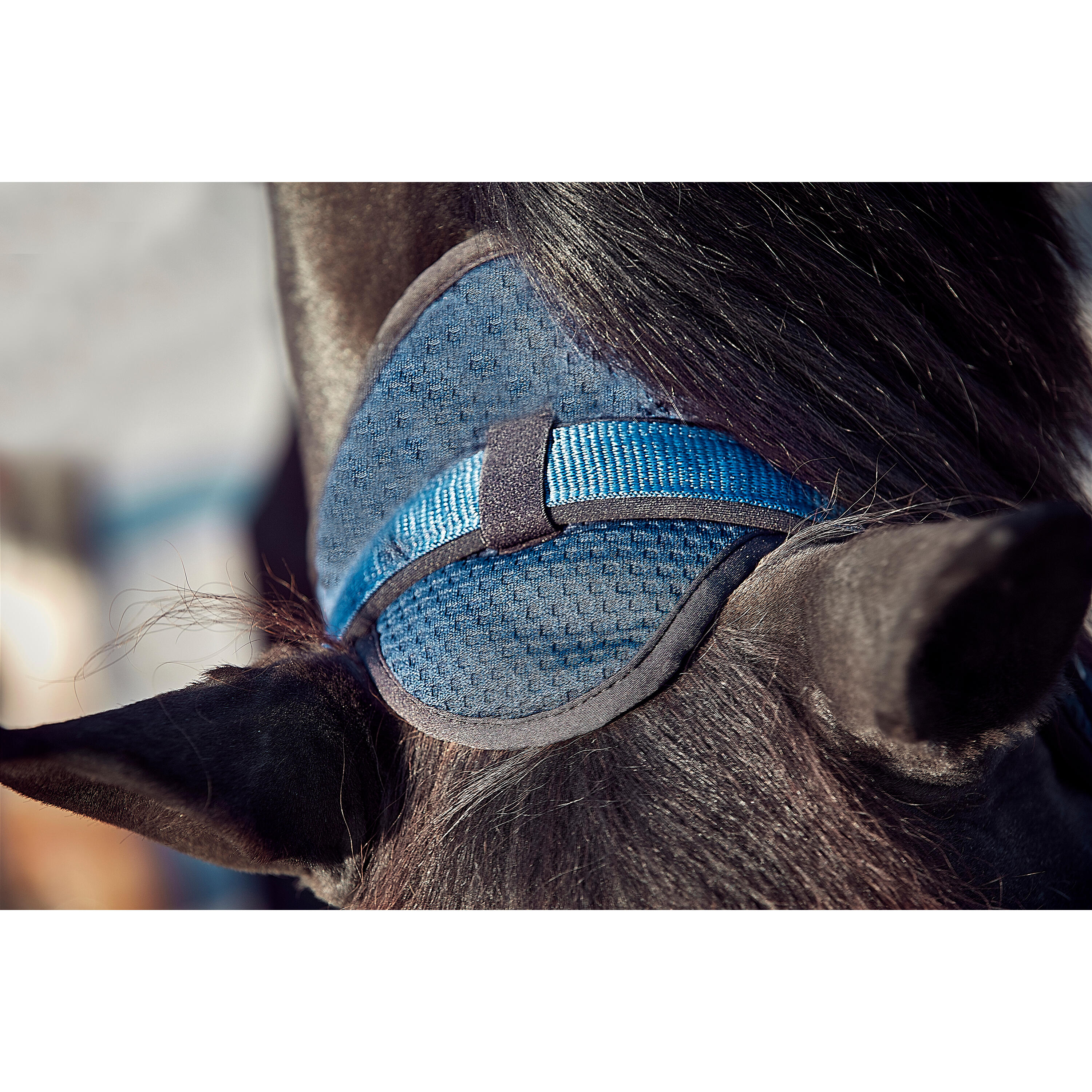 Cabezada Cuadra para caballos Catago FIR-Tech 4/5