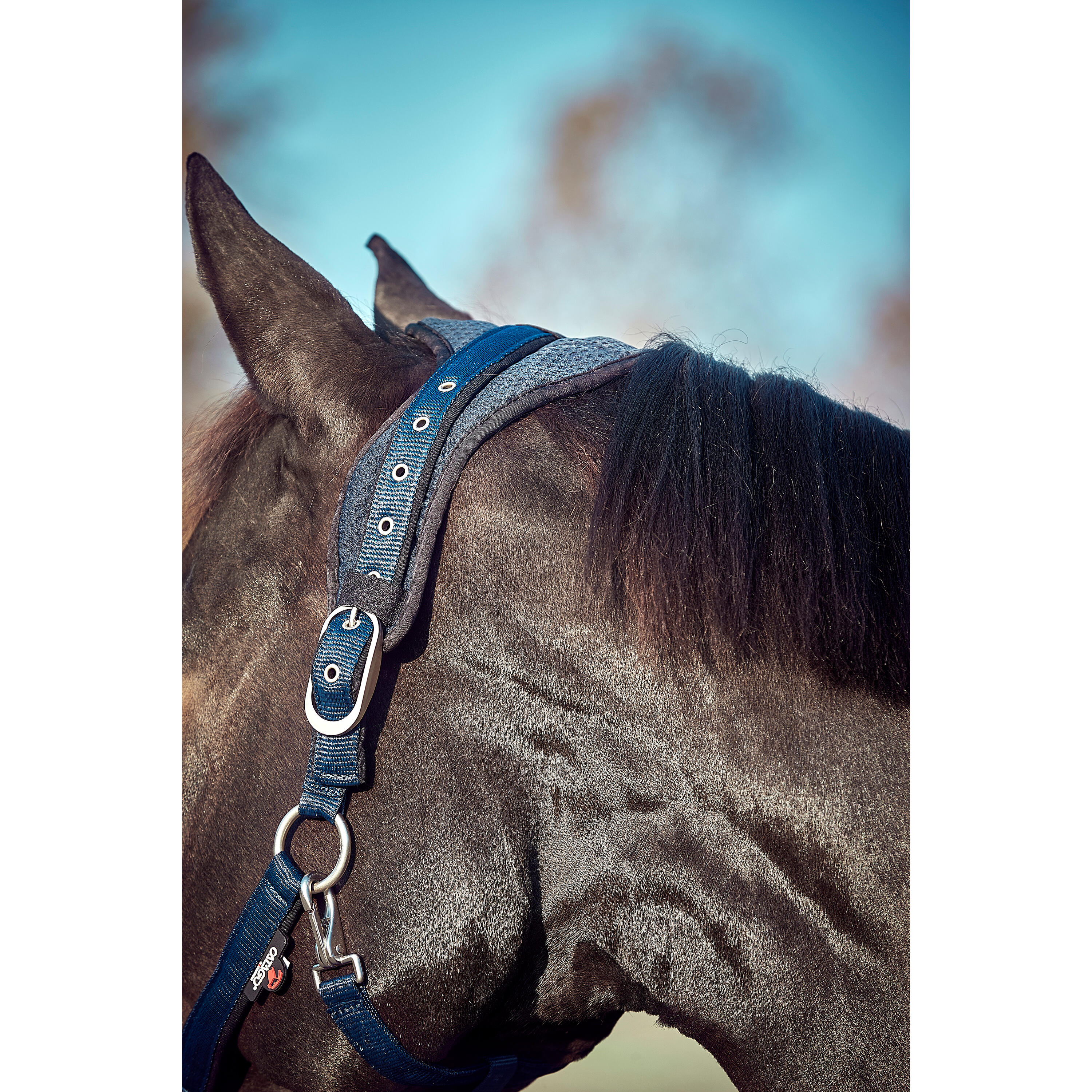 Cabezada Cuadra para caballos Catago FIR-Tech 5/5