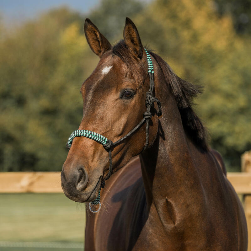 Touwhalster voor paard Horka