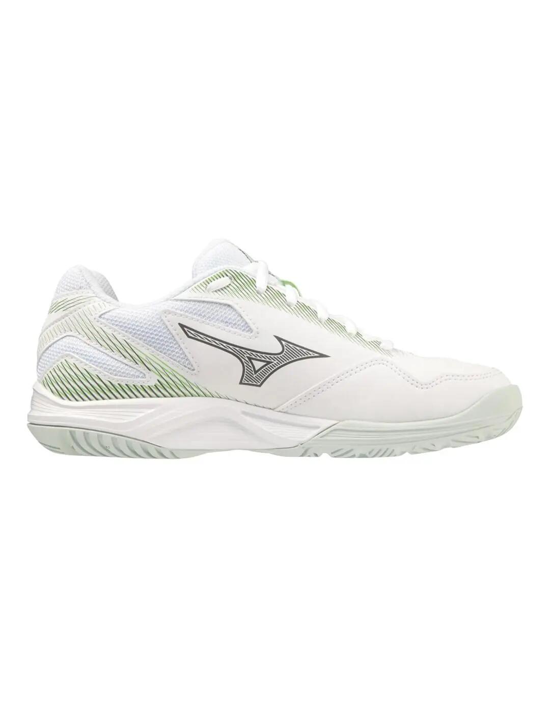 MIZUNO picture