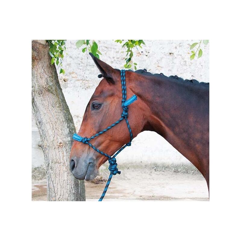 Licol pour cheval etho confort + longe T de T 2/2