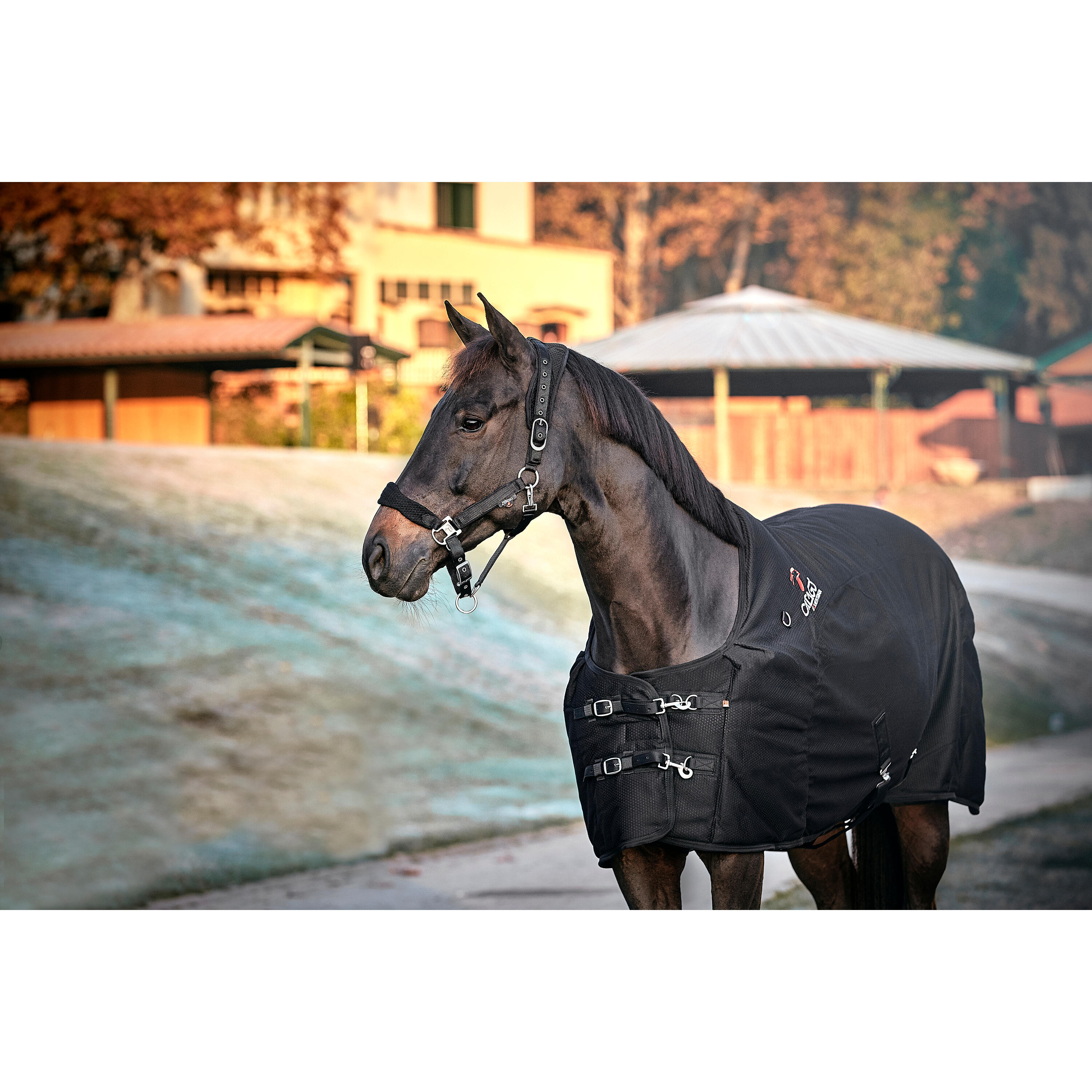 Cabezada Cuadra para caballos Catago FIR-Tech 5/5
