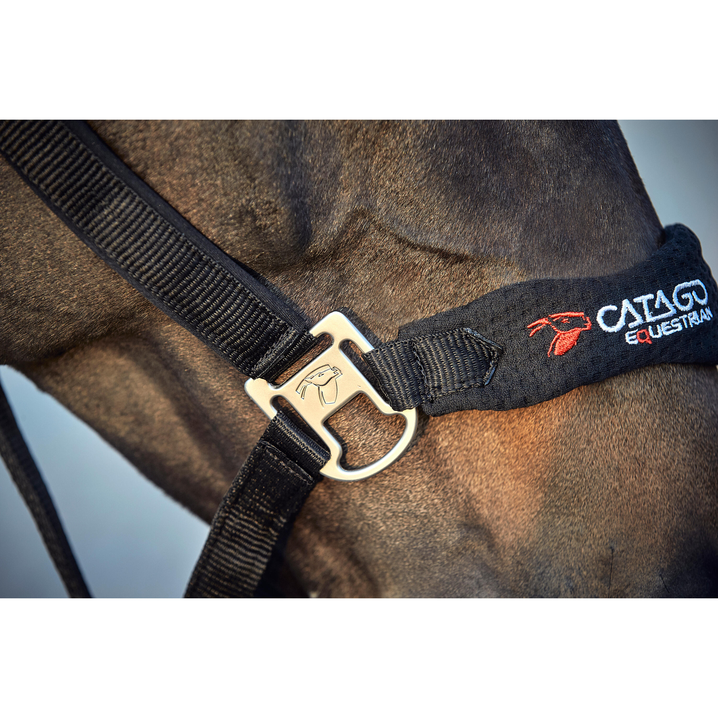 Cabezada Cuadra para caballos Catago FIR-Tech 3/5