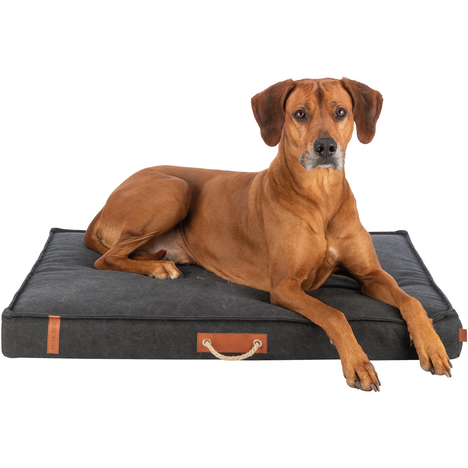 Materasso per cani Trixie Be Nordic Fohr