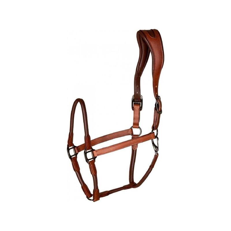 Licol pour cheval en cuir Catago