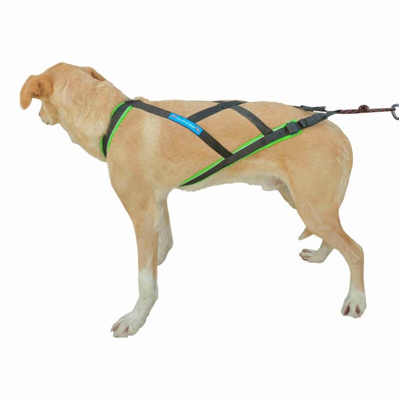 Harnais canicross réglable Polar Evo – Inlandsis 3/7