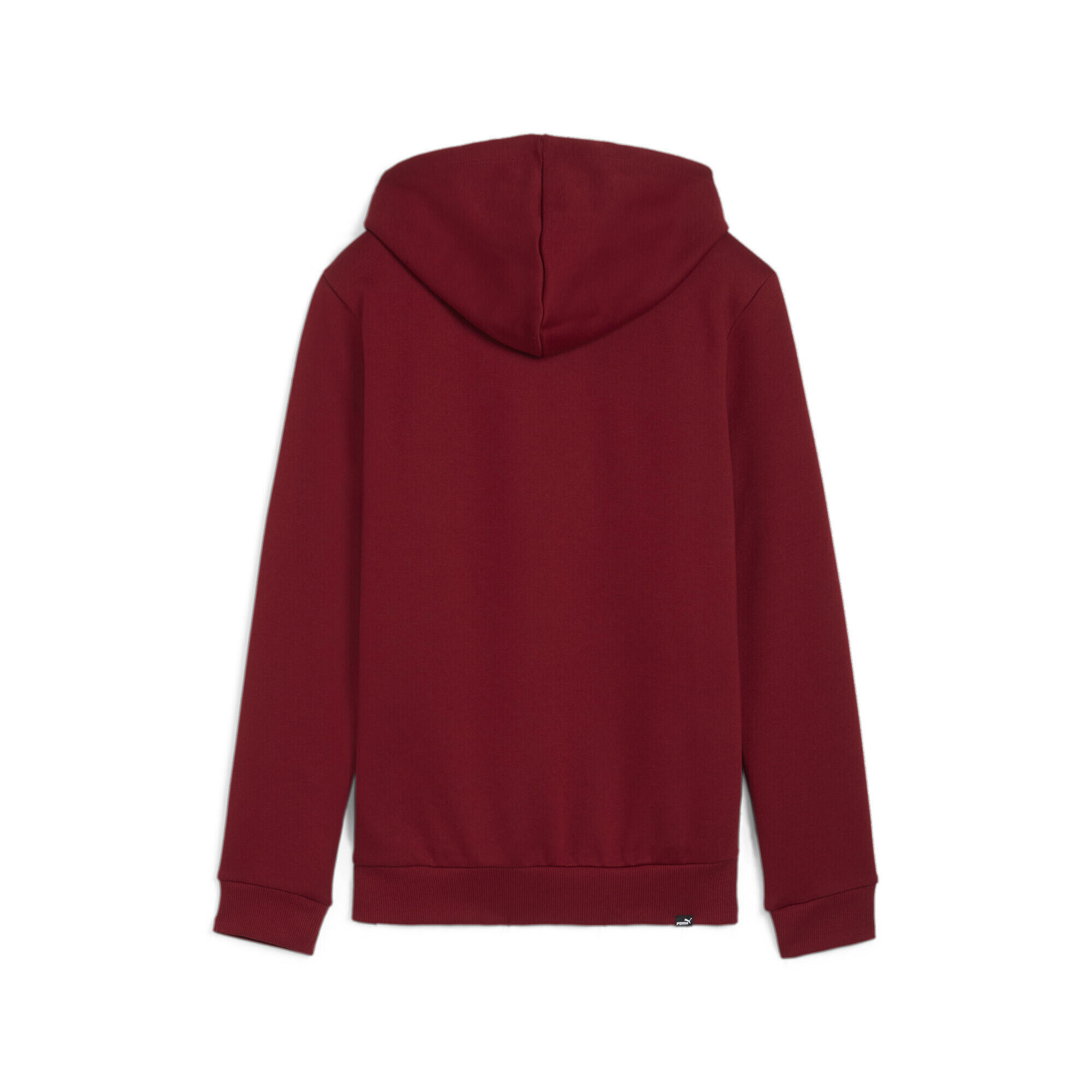 Dames Ess+ Lab Logo Fleece Hoodie (Rood) 7/7