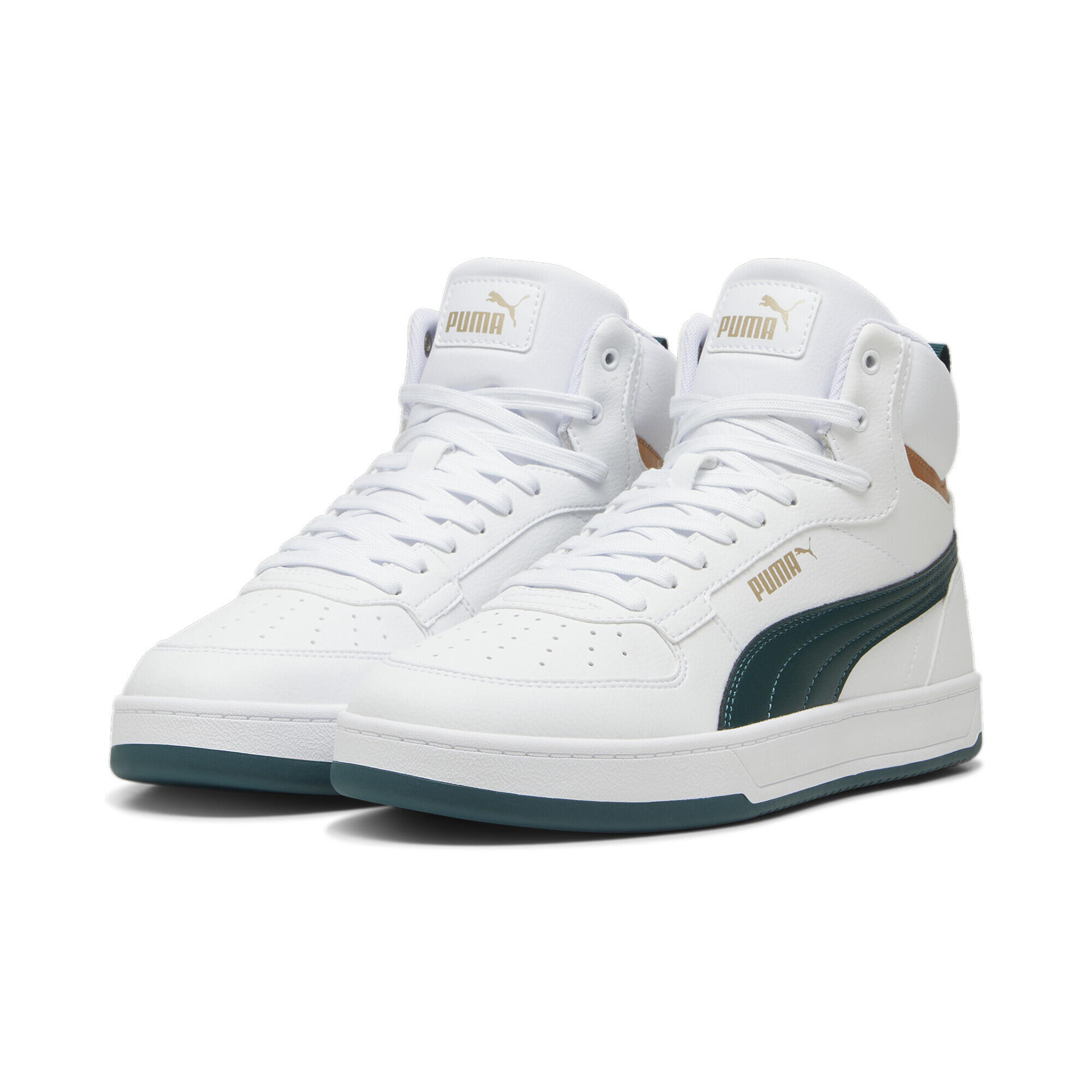 PUMA picture