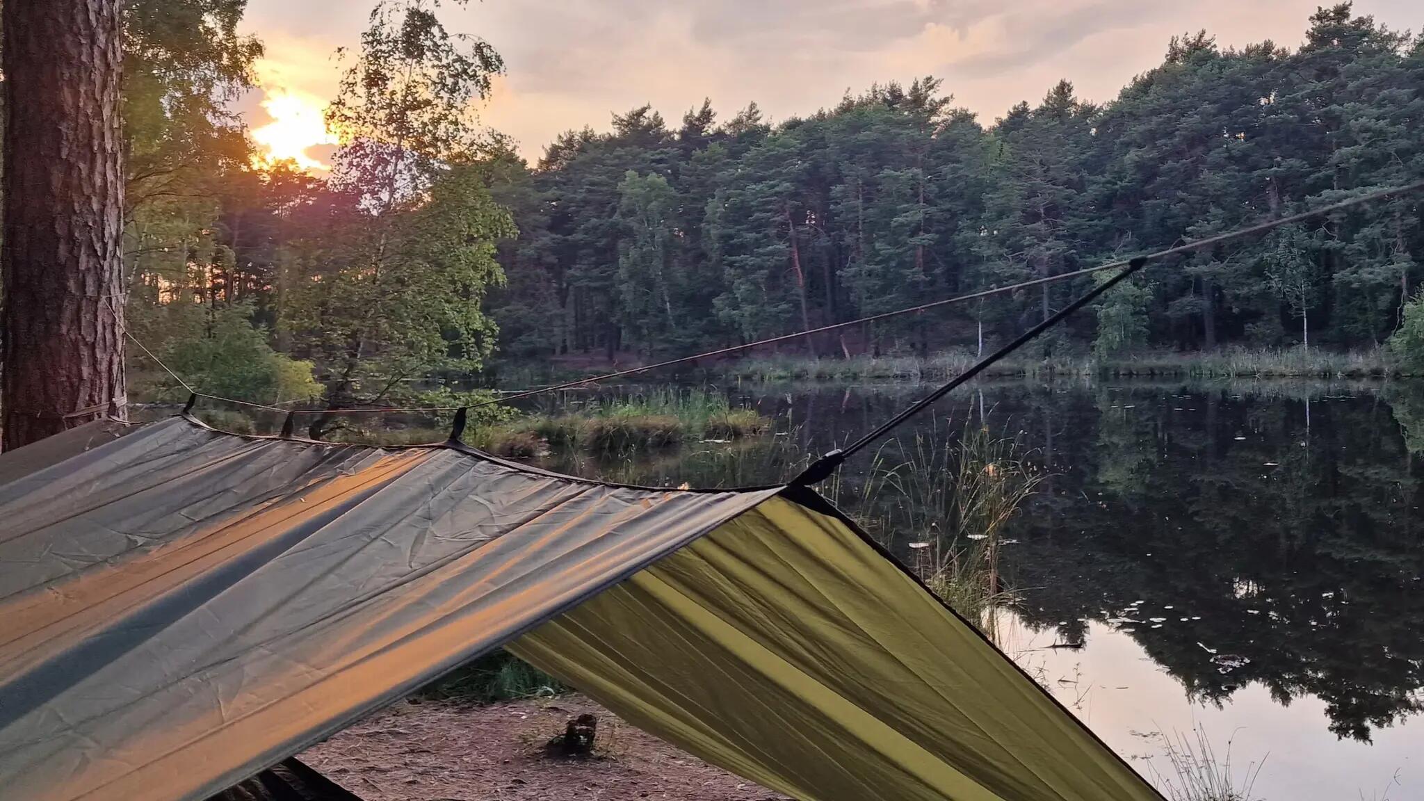 Bushmen Easy Tarp 3x3 - Grün 2/6