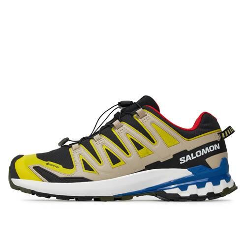 Chaussure randonnée hommes Salomon Xa Pro 3d V9 Gtx