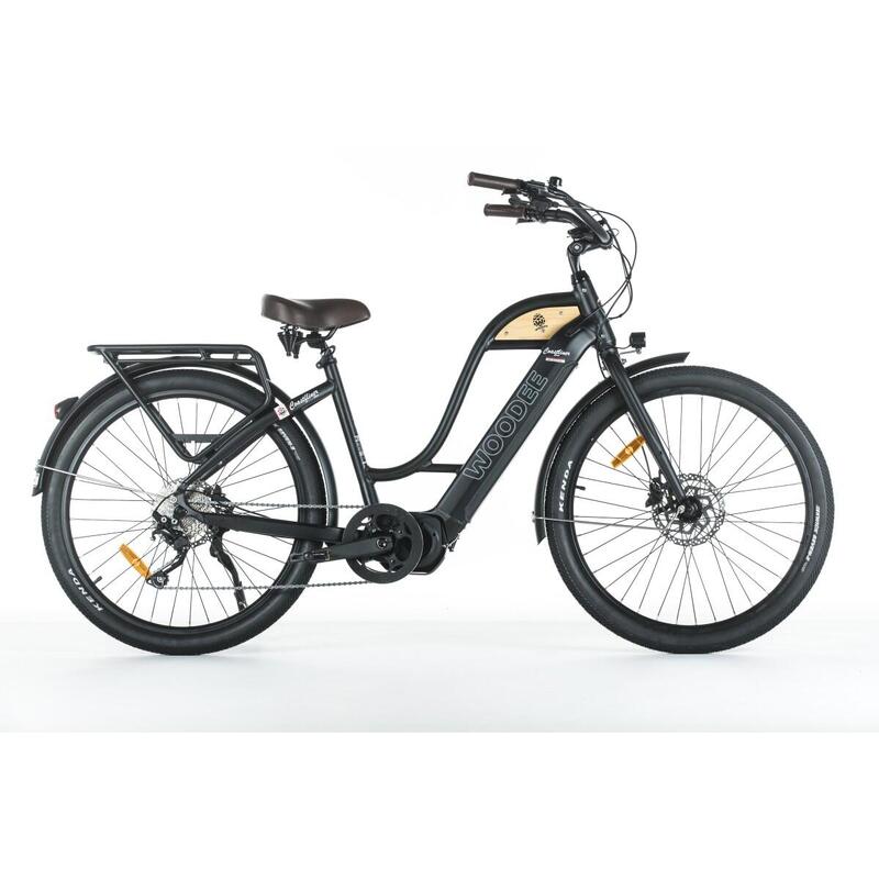 Woodee Swan | VAE Beachcruiser | Moteur Central | 140KM Autonomie | Noir