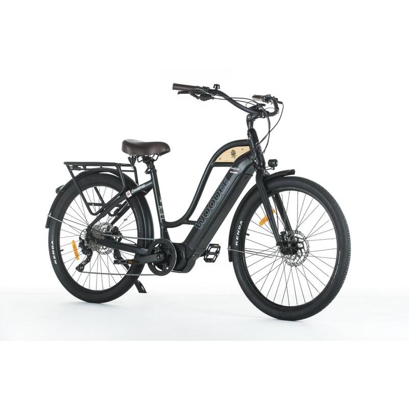 Woodee Swan | VAE Beachcruiser | Moteur Central | 140KM Autonomie | Noir