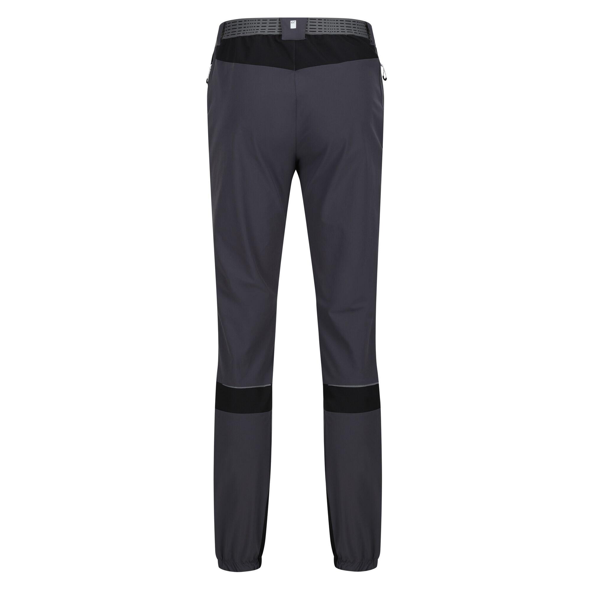 Pantalon De Randonnée MOUNTAIN Homme (Gris Phoque / Noir) 2/4