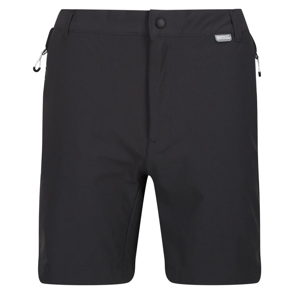 Mens Mountain II Shorts (Ash/Black)