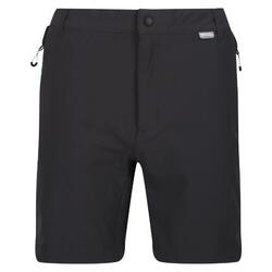 Short MOUNTAIN Homme (Cendre / Noir)