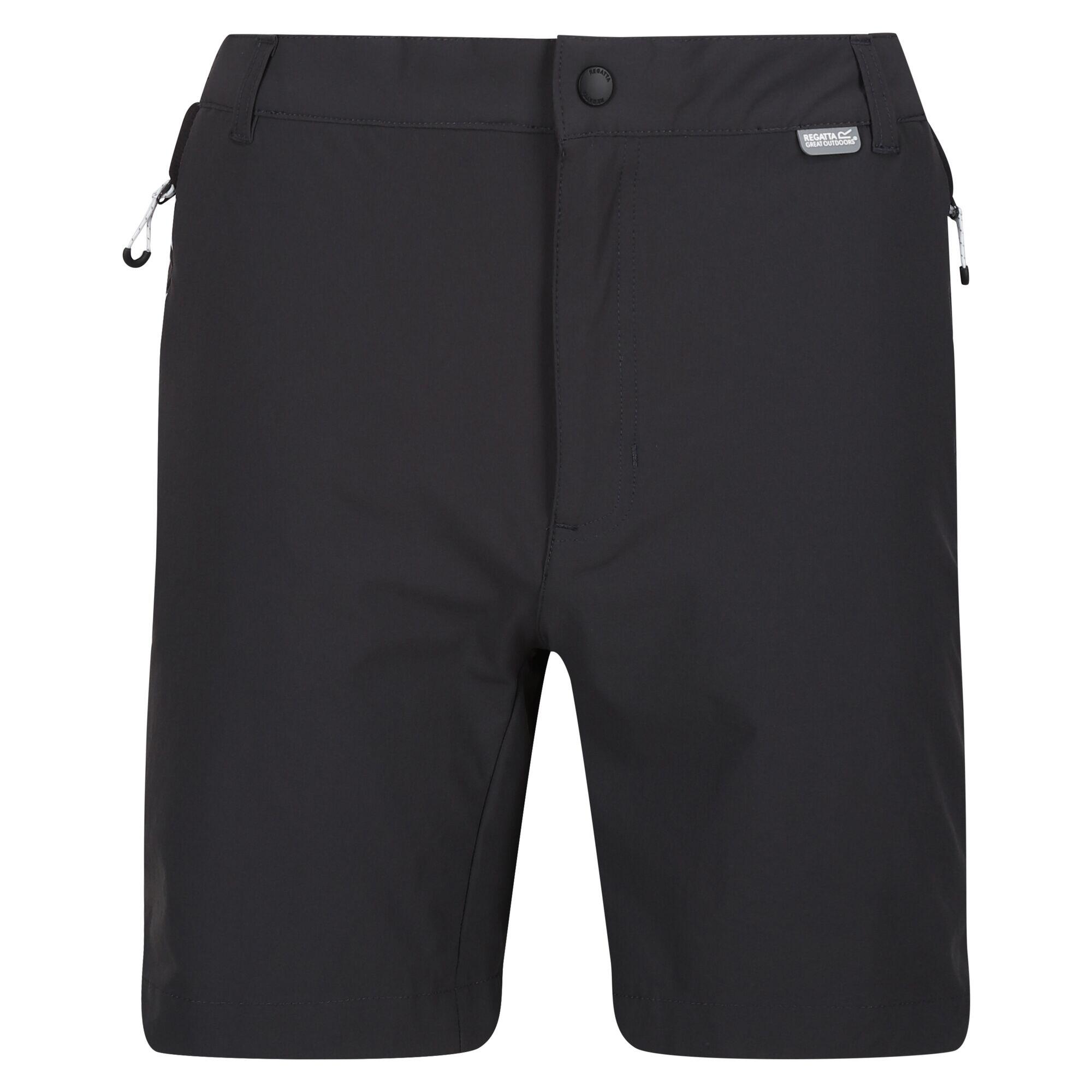 REGATTA Mens Mountain II Shorts (Ash/Black)