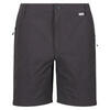 Heren Highton wandelshort (Afdichting Grijs)